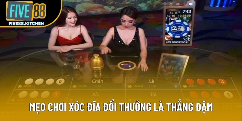Mẹo chơi xóc đĩa đổi thưởng là thắng đậm Mẹo chơi xóc đĩa đổi thưởng là thắng đậm