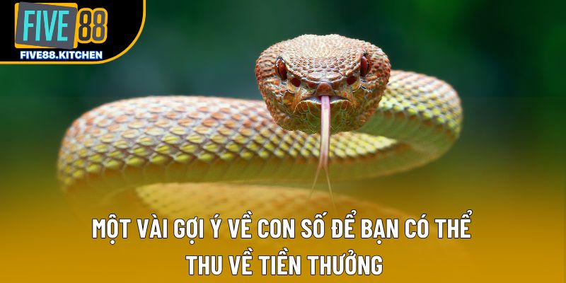Một vài gợi ý về con số để bạn có thể thu về tiền thưởng Một vài gợi ý về con số để bạn có thể thu về tiền thưởng